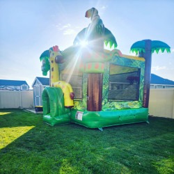 15x15 Jungle Bounce House