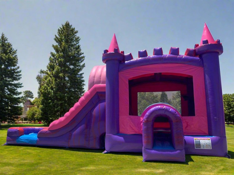 Princess 5 N 1 Wet/Dry Combo