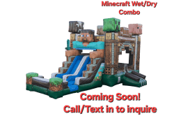 Minecraft Pixelated Combo wet/dry