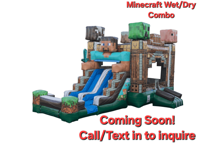 Minecraft Pixelated Combo wet/dry